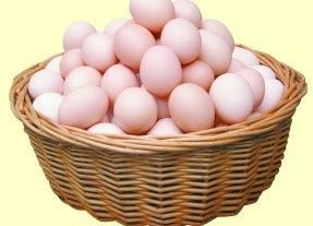 博爱连锁大药房大柳塔石圪台店 感恩回馈，倾情钜献，健康守护伴您行